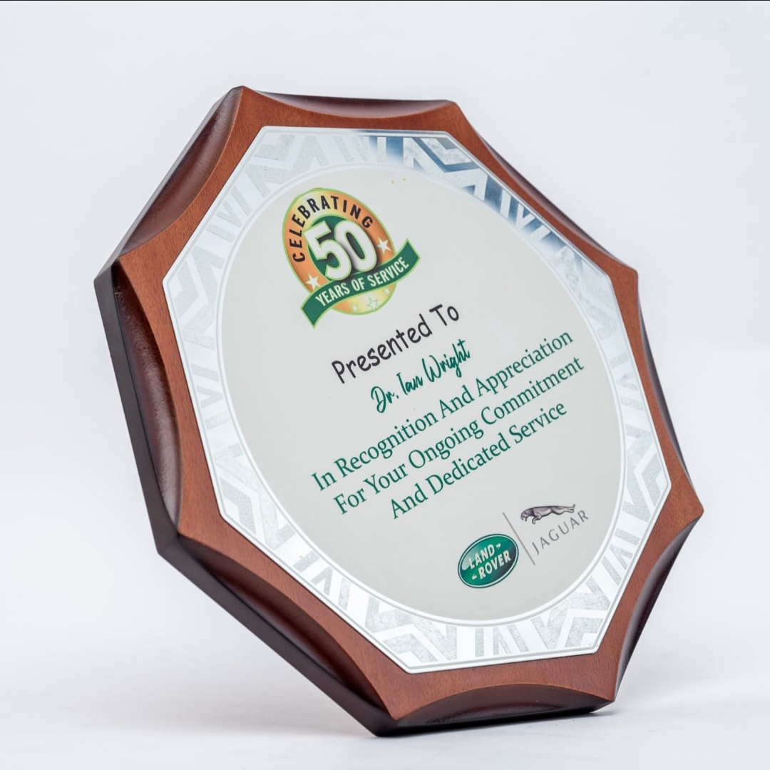 Octagon Wooden Award